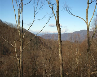 mountain house south carolina
