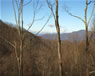 carolina mountain house