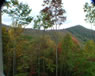 mountain view house south carolina