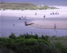 beach house sullivans island south carolina